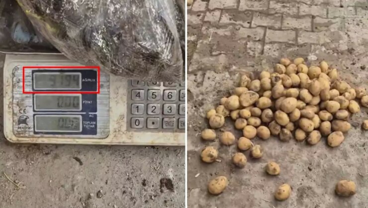Ahlaksızlıkta son nokta: 22 kiloluk çuvaldan 13 kilo patates çıktı