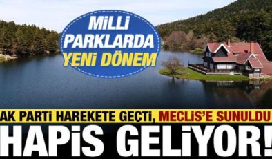 AK Parti harekete geçti: Mili Parkı kirletenlere hapis cezası!