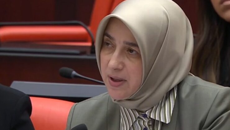 AKP'li Özlem Zengin, uçak sözleri tepki görünce geri adım attı