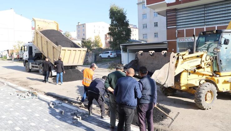 Ardahan Belediyesi Asfalt Çalışmalarını Sürdürüyor