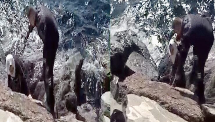 Avcılar'da denize düşen kadını böyle kurtardılar