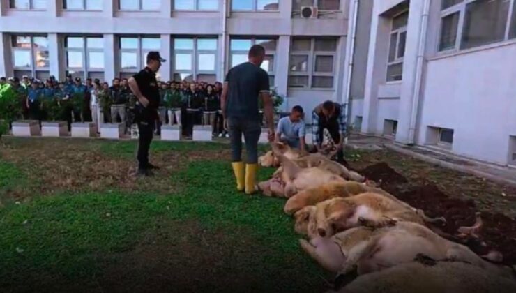 Bakan Yerlikaya onay verdi: Emniyet operasyonu böyle kutladı