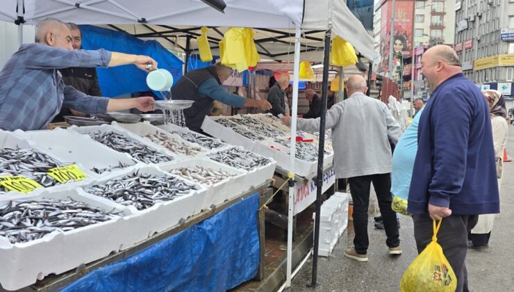 Balıkçılar limana bol miktarda hamsiyle dönüyor