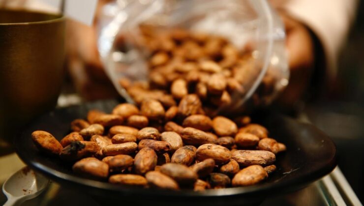 Bir fincan kakaonun şaşırtıcı faydası!