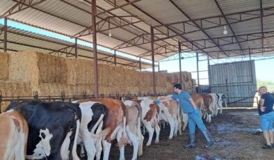 Bir ilde 12 mahalle karantinaya alındı!