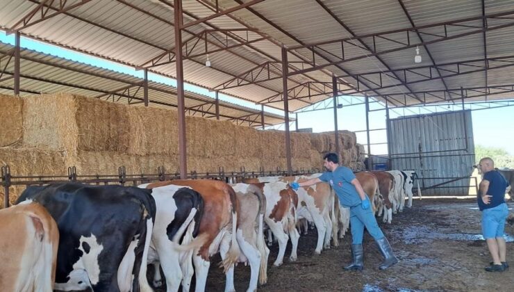 Bir ilde 12 mahalle karantinaya alındı!