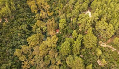 Bir zamanlar Cumhurbaşkanı içindi, şimdi bambaşka bir amaçla kullanılıyor