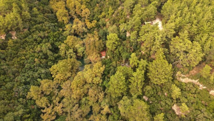 Bir zamanlar Cumhurbaşkanı içindi, şimdi bambaşka bir amaçla kullanılıyor