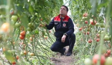 Bu görüntü 6 ay kar yağan ilden! Verim ihya etti, herkes yapmak istiyor