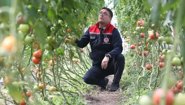 Bu görüntü 6 ay kar yağan ilden! Verim ihya etti, herkes yapmak istiyor