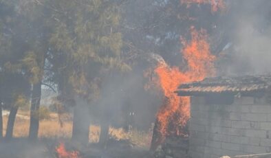 Bucak’ta odunlukta çıkan yangın korkuttu