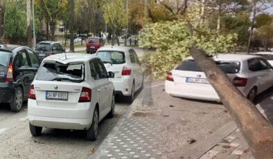 Bursa'da lodos etkili oldu; ağaçlar devrildi, çatılar uçtu