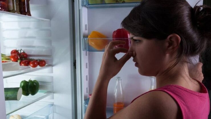 Buzdolabındaki kötü kokuları anında yok ediyor: Meğer bu kadar basitmiş