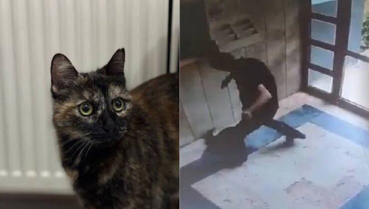 Cezve'yi katleden sanıktan skandal savunma