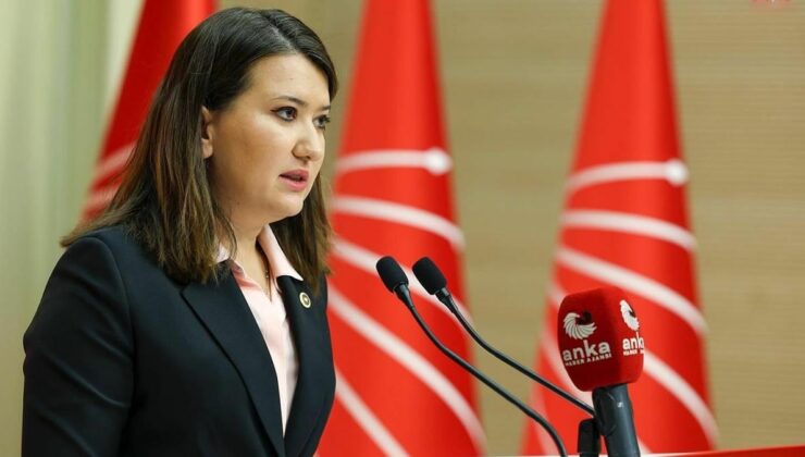 CHP’li Gökçe Gökçen’den Aslı Aydemir tepkisi: “Asıl saldırganlar yargılansın”