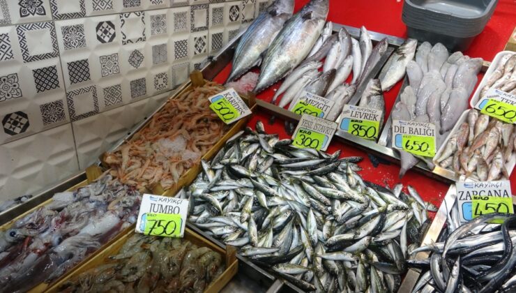 Denizden bolluk taştı, fiyatı gelecek ay yarıya düşecek