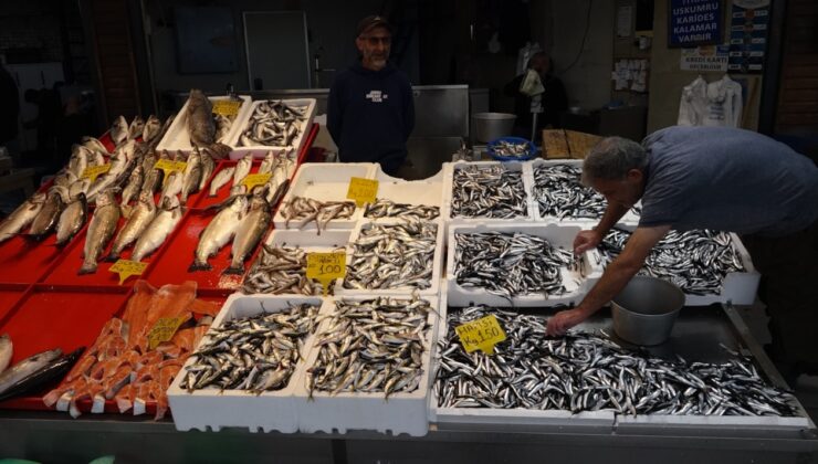 Denizden tezgahlara taştı, kilosu 100 liradan kapış kapış satıldı