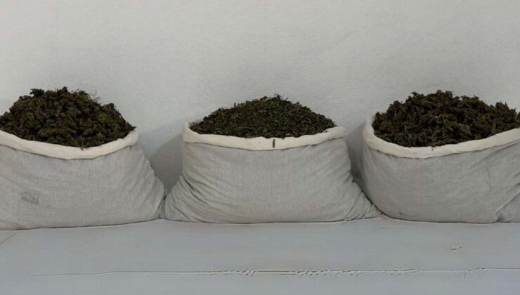 Diyarbakır’da uyuşturucu operasyonu: 15 kilo skunk ele geçirildi