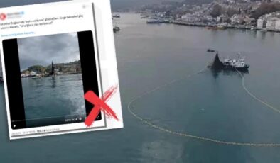 DMM’den İstanbul Boğazı’nda balık soykırımı iddiaları için açıklama