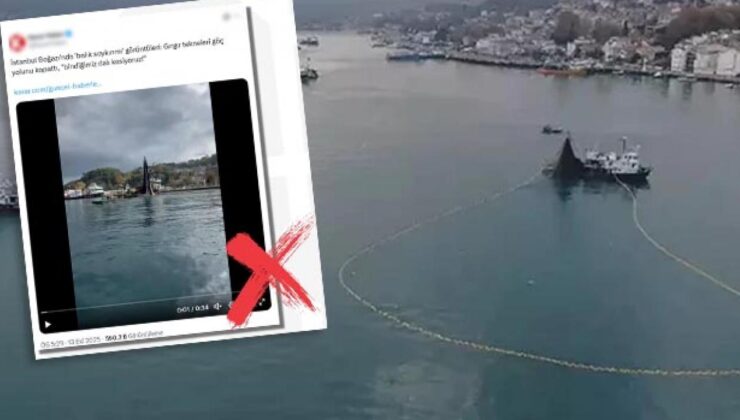 DMM’den İstanbul Boğazı’nda balık soykırımı iddiaları için açıklama