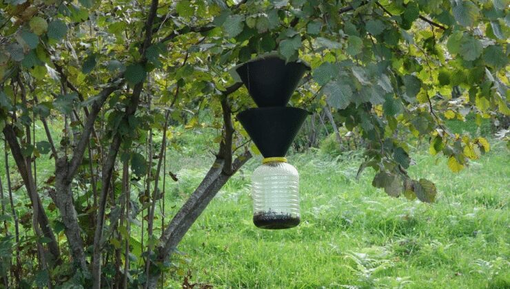 Dokunmak bile yetiyor: Cilt ve yüzdeki yaraların en büyük nedeni oldu