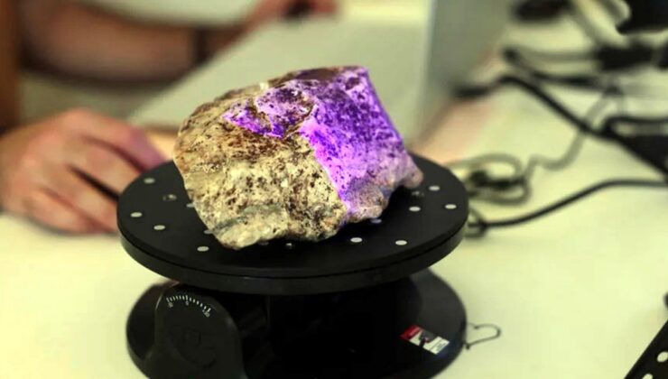 Ege’de heyecanlandıran keşif