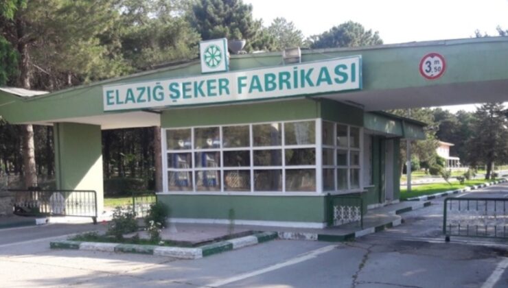 Elazığ'da ‘pancar’ krizi: Teslimat durdu, ürün tarlada kaldı