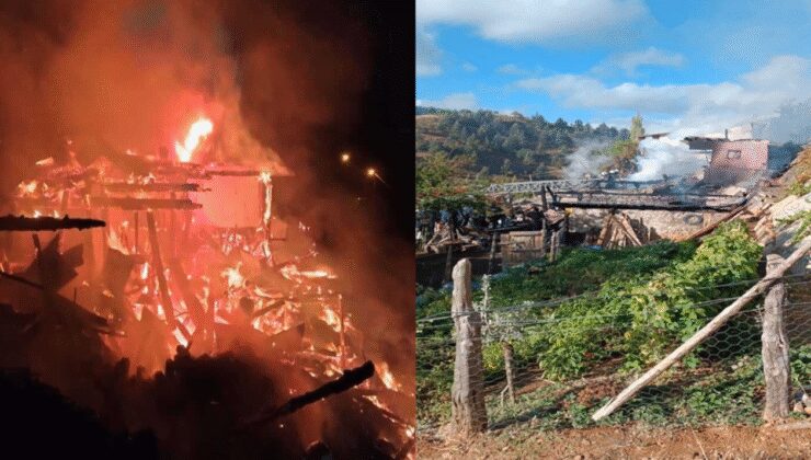 Engelli 2 kardeş yangında can verdi