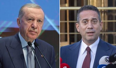 Erdoğan'ın toplu iğne sözlerine CHP'li isimden tepki