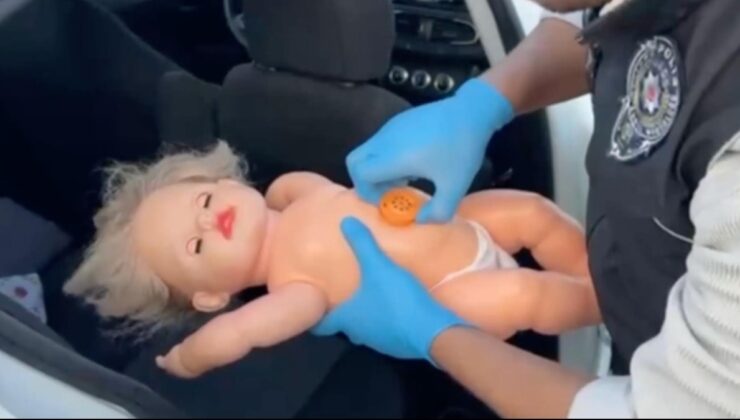 Erzincan’da oyuncak bebekten bonzai çıktı