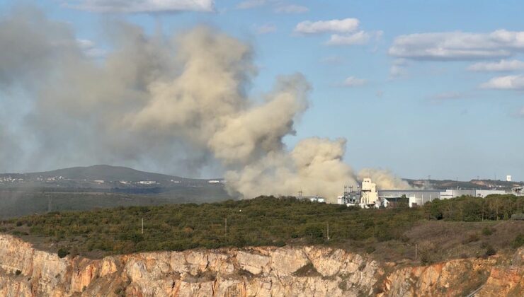 Gebze’de ahşap fabrikasında yangın