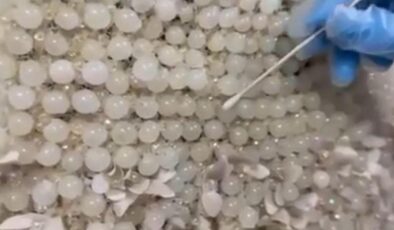 Gelinliğin üzerine boncuk şeklinde işlenmiş 25 kilo uyuşturucu ele geçirildi