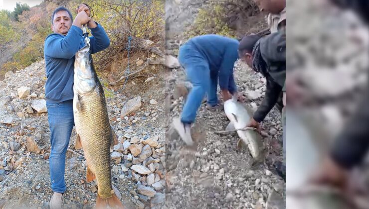 Gören bir daha baktı! Tam 32 kilo