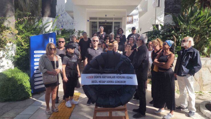 Hayvanların toplanmasını protesto ettiler belediyeye siyah çelenk bıraktılar