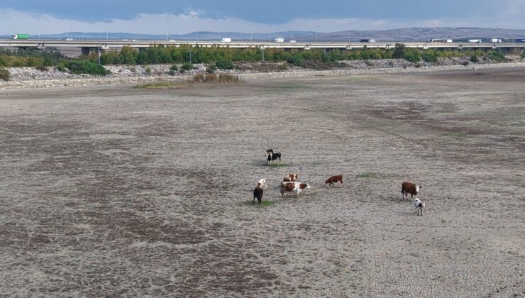 İSKİ devreye girdi çağrı yaptı! İstanbul için felaket yaklaştı