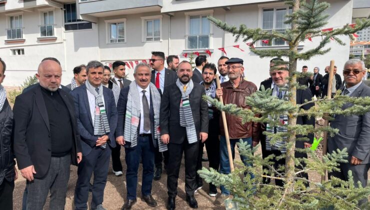 İsrail’in saldırılarında şehit olan Filistinli 273 gazeteci anısına fidan dikildi