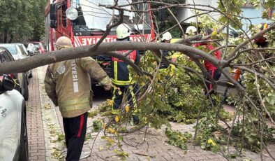 İstanbul'da şiddetli rüzgarın etkisiyle  Ağaç ve elektrik direği araçların üzerine devrildi