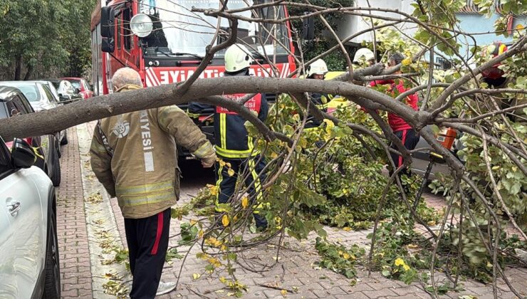İstanbul'da şiddetli rüzgarın etkisiyle  Ağaç ve elektrik direği araçların üzerine devrildi