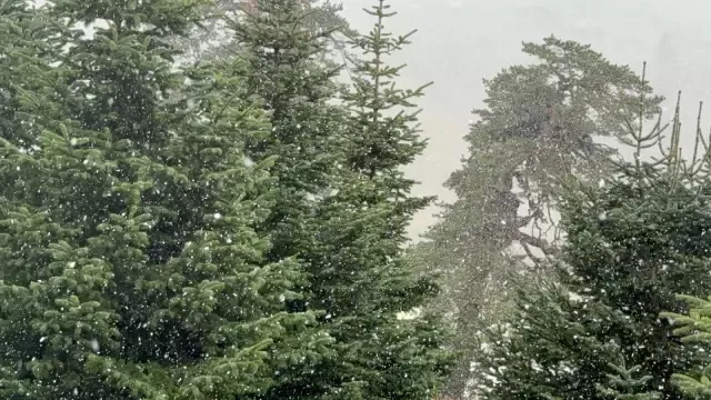 İstanbul'un yanıbaşında lapa lapa kar yağdı