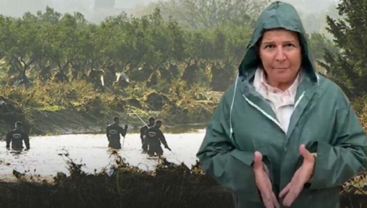 İzmir felaketi yaşarken Saray'ın danışmanı yardım çağrısıyla dalga geçti