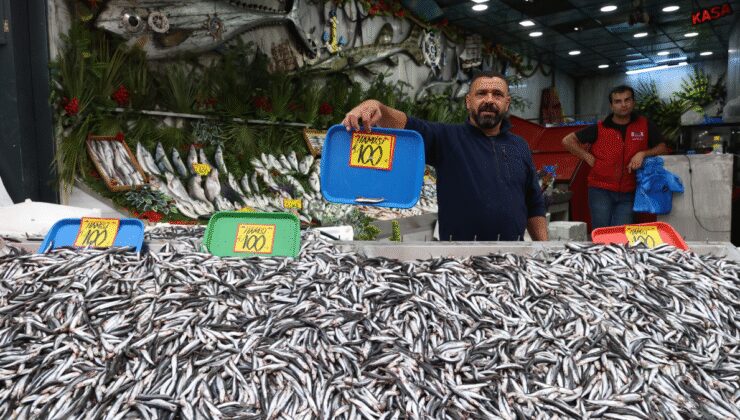 Karadeniz'de hamsi bolluğu tezgahlara yansıdı