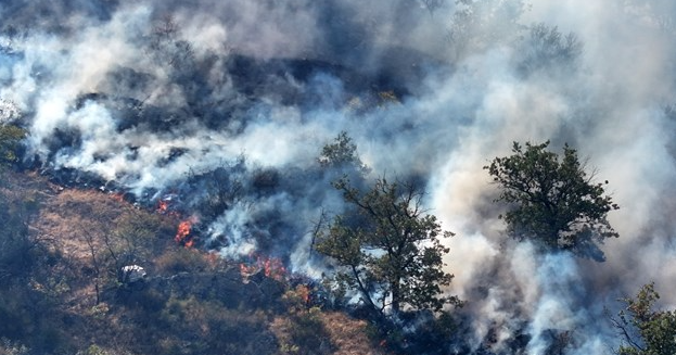 Kayseri’de közleme ateşi çalılık alana sıçradı