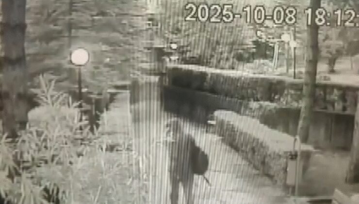 Kendilerini polis olarak tanıtıp 250 bin dolar dolandırdılar