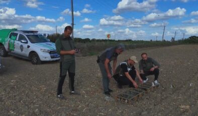 Kuş kaçakçısına suçüstü! 247 saka kuşu özgürlüğüne kavuştu