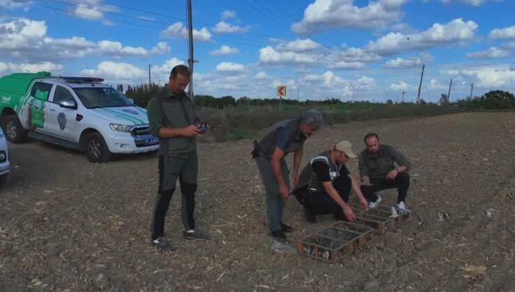 Kuş kaçakçısına suçüstü! 247 saka kuşu özgürlüğüne kavuştu