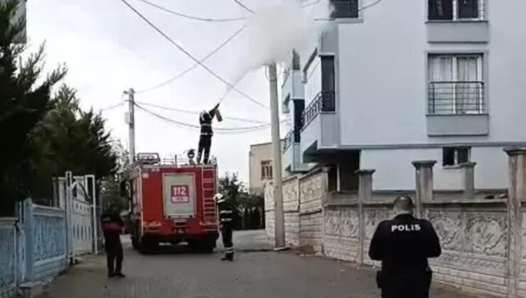 Mahallede panik anları: Siirt’te elektrik direği alev aldı