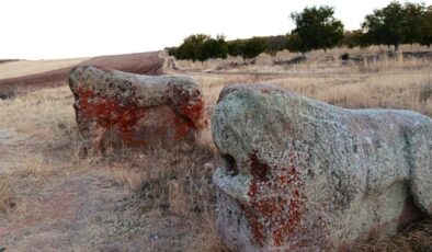 Malatya’daki 4 bin yıllık 2 Aslantaş taşınacak