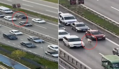 Nereden çıktığını kimse anlamadı! Trafiği birbirine kattı
