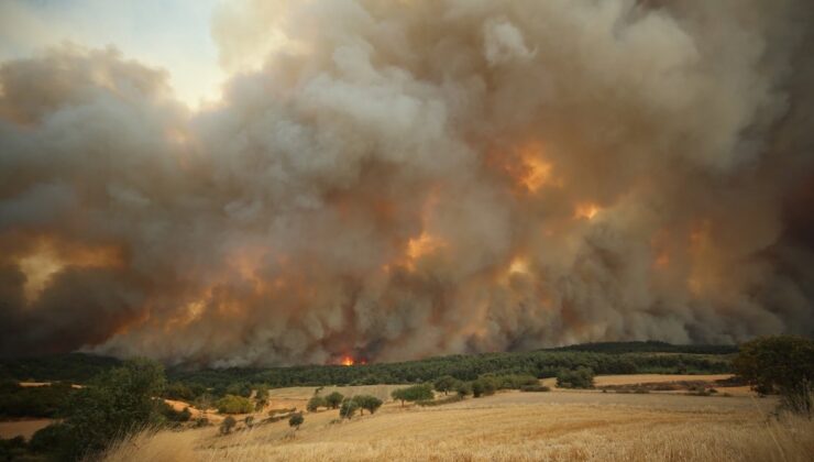 Orman yangınından iki ay sonra acı haber! Ekipler yanmış halde ceset buldu