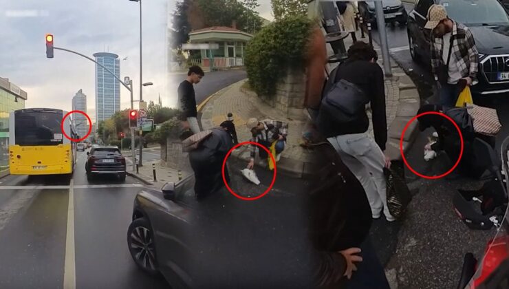 Otobüse çarpan martı kalp masajıyla hayata döndü